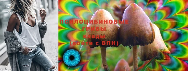 синтетический гашиш Алексеевка